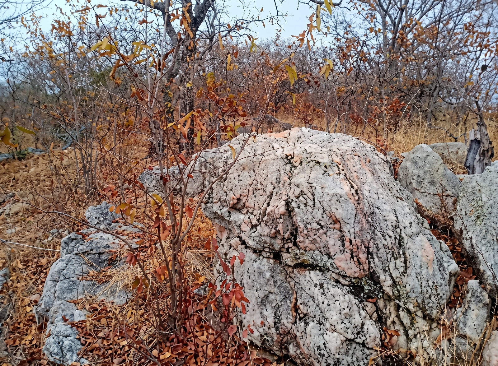 Gold Prospecting & Vein Mining