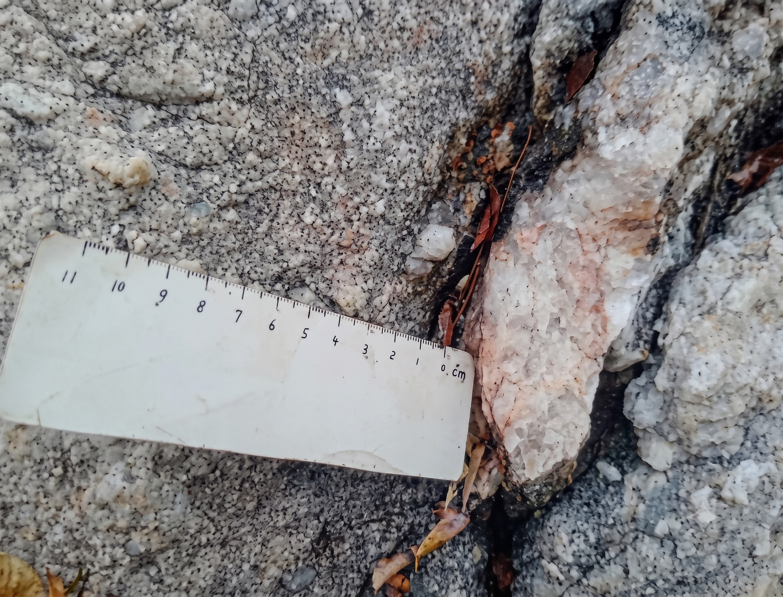 High Grade Gold Ore Deposit