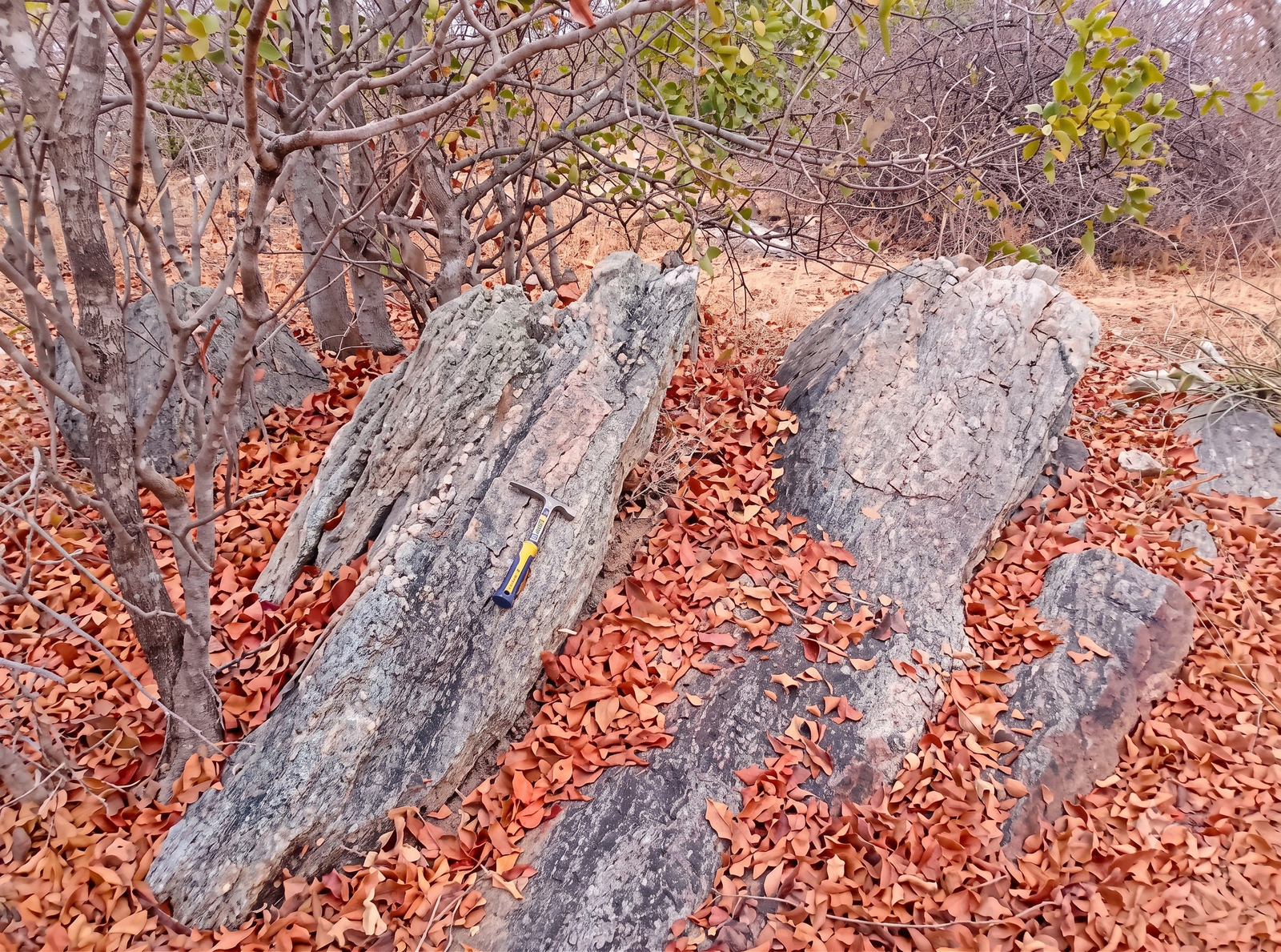 Gold Findings Prospect Site